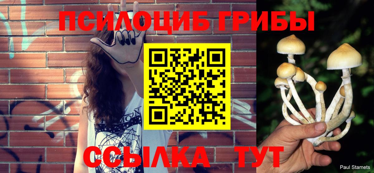 Псилоцибиновые грибы MAGIC MUSHROOMS  Вход с VPN  Галлюциногенные грибы Psilocybine cubensis  Владикавказ 
